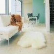 Load image into Gallery viewer, Natural Sheepskin Rug 4 piece - ecoVert